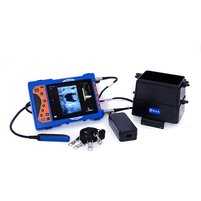 Medical Sonography Diagnostic Ultrasound Equipment Portable Veterinary Ultrasoun