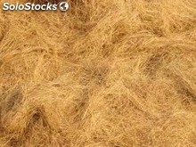 Meilleur prix fibre de sisal naturel brut
