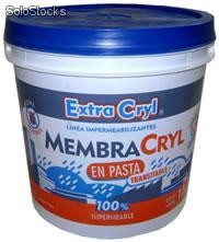 Membrana en Pasta &quot;MembraCryl&quot; 20 Lts.