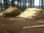 Meolos de pino elliotis y eucalipto directo de misiones - Foto 2