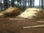 Meolos de pino elliotis y eucalipto directo de misiones - Foto 3