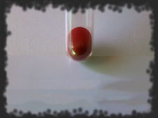 Mercure rouge d&#39;antimoine