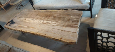 mesa baja de madera petrificada