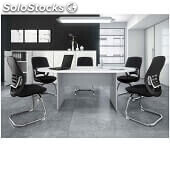 Mesa de reuniones T3 ovalada plata/blanco 250x120