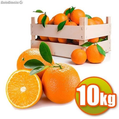 Mesa Oranges 10 kg