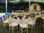 Mesas redondas plegables para fiestas y banquete: Royal table - Foto 3