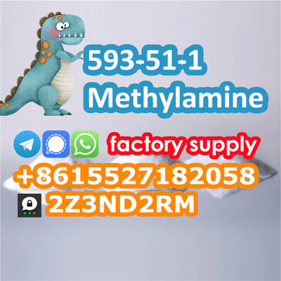 Methylamine hcl 593-51-1 safe line to Russia