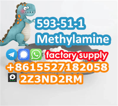 Methylamine hcl 593-51-1 safe line to Russia - Photo 4