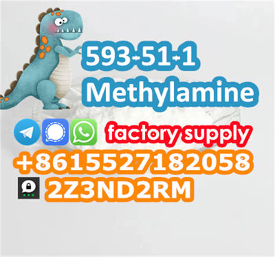 Methylamine hcl 593-51-1 safe line to Russia Kazakhstan - Photo 4