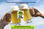 Micro cervecería 500 litros Inox cerveza artesanal - 2