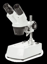 Microscopes stéréoscopiques