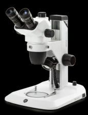 Microscopes stéréoscopiques