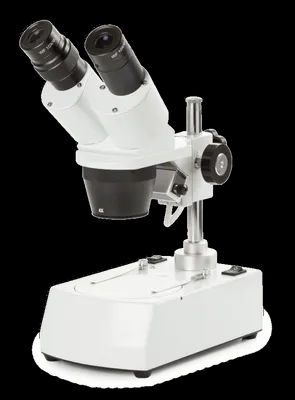 Microscopes stéréoscopiques - Photo 2