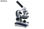 Microscopio bms led aficionados pro breukhoven - 1