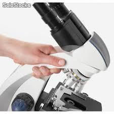 Microscopio, Lupa euromex - Foto 2
