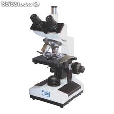 Microscópio trinocular