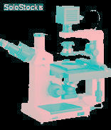 Microscopios binoculares - XDS 2