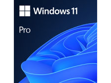 Microsoft sof Windows 11 Pro 64 Bit oem/dsp (englisch) DVD - fqc-10528