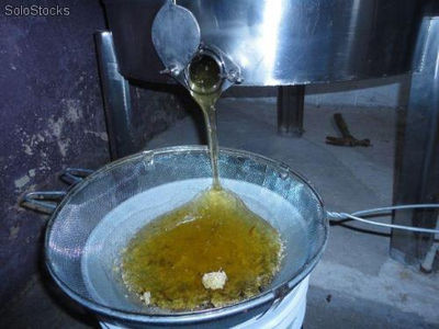 Miel 100% pura de abeja extractada en octubre por cubeta de 27 kg - Foto 2