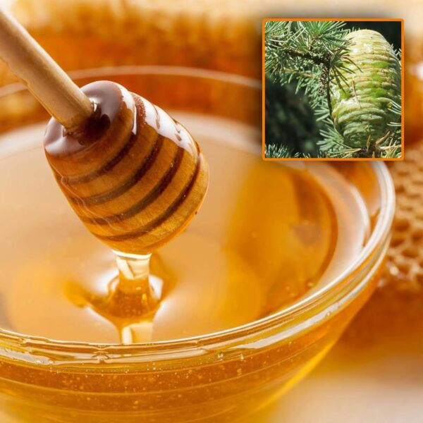 Miel Honey Natural Aphrodisiac15 g, 12 pieces Wonderful
