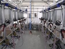 Milking parlour