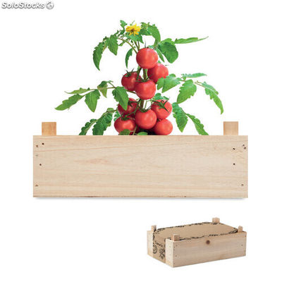 Mini-huerto tomates en caja madera MIMO6498-40