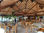 Mobiliario restaurante playa - Foto 3
