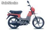 Modelo big. ciclomotor 49cc. - 180050111
