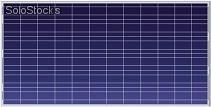 Modulo Solar Poly