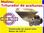 Molino triturador de aceitunas-olivas, tolva de acero inox. PR 25 - 1