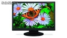 Monitor Serie AccuSync LCD194WXM