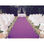 Moqueta violeta para graduacion - Foto 3