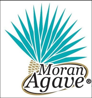 Moran Agave