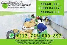 Moroccan argan oil wholesale