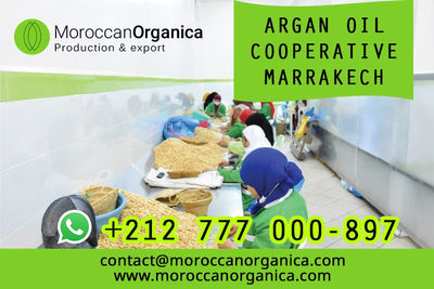 Moroccan argan oil wholesale