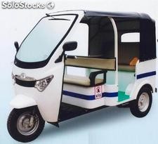 Moto-Taxi de gasolina 150cc, 200cc, 250cc para 4 y 8 pasajeros