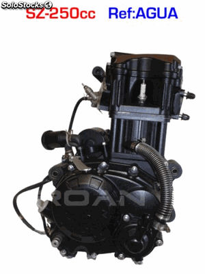 Motor 250cc Zongshen agua
