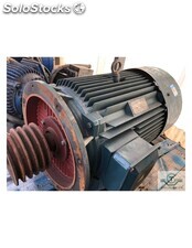 Motor 55 Kw 980 rpm