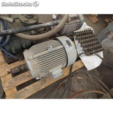 Motor de patas 15 cv