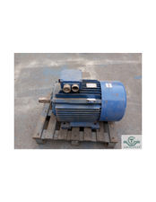 Motor de patas 30 Kw smen