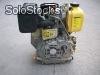 Motor diesel con arranque electrico 10 hp