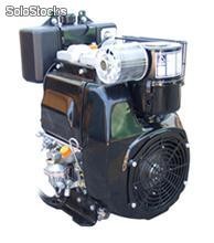 Motor Diesel Modelo 11 LD626-3