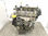 Motor turbo diesel / Z13DT / 49271 para Opel corsa c 1.3 16V cdti cat (z 13 dt / - 1
