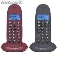 Motorola C1002 lb+ Telefono dect duo Gris-Granate