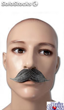 Moustache gentleman grise
