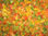 mrożona papryka czerwona, zielona, żółta - Zdjęcie 4