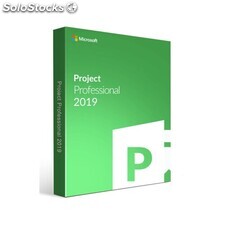 Ms Project Pro 2019