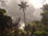 Muda de Palmeira Imperial 1,0mt altura - Foto 2
