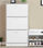 Mueble Zapatero Vic De Tres Puertas Abatibles 107x60x17 Cm En Color Blanco Mate - 3