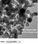 Nano Particulas de Cobre - Foto 4